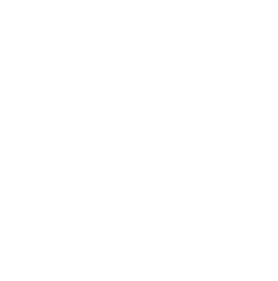 openAI-icon